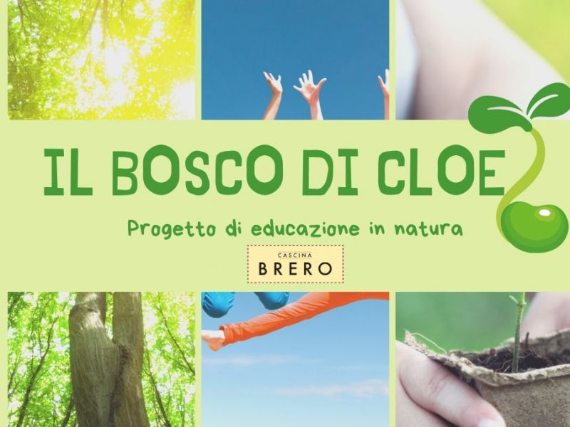 Presentazione scuola nel bosco "Il bosco di Cloe"